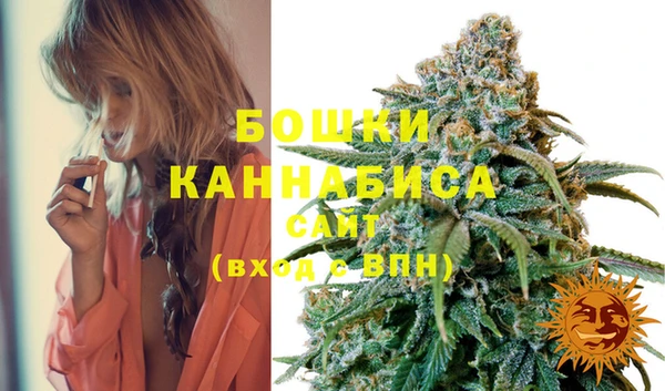 ПСИЛОЦИБИНОВЫЕ ГРИБЫ Белоозёрский
