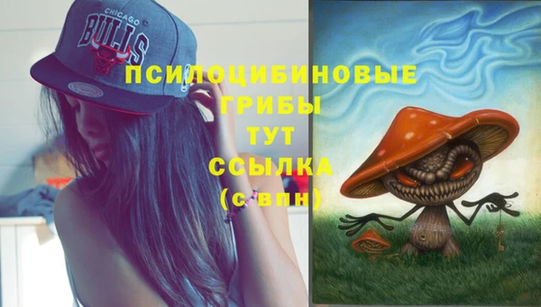 скорость mdpv Белокуриха