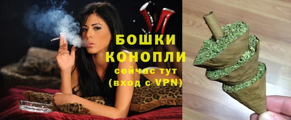 ПСИЛОЦИБИНОВЫЕ ГРИБЫ Белоозёрский
